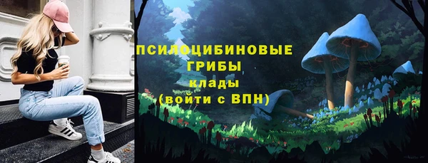 прущие грибы Абдулино